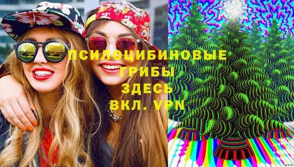 мяу мяу мука Алексеевка